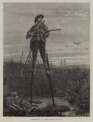 Un Chasseur des Landes (France)